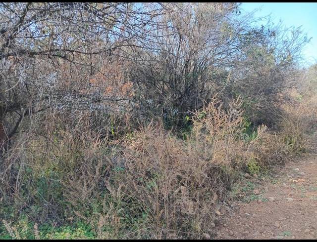 LAND FOR SALE IN VAALOEWER
